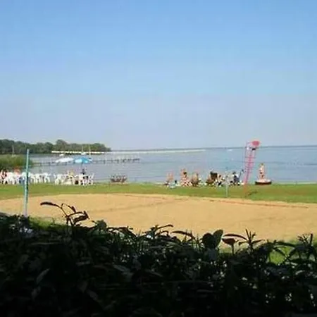 Dachs Im Mueritz Seepark *