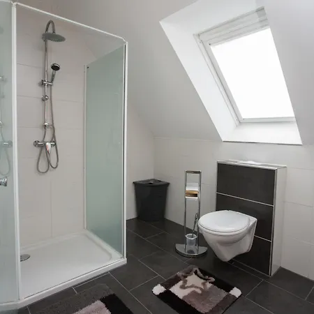 Dachs Im Mueritz Seepark Marienfelde