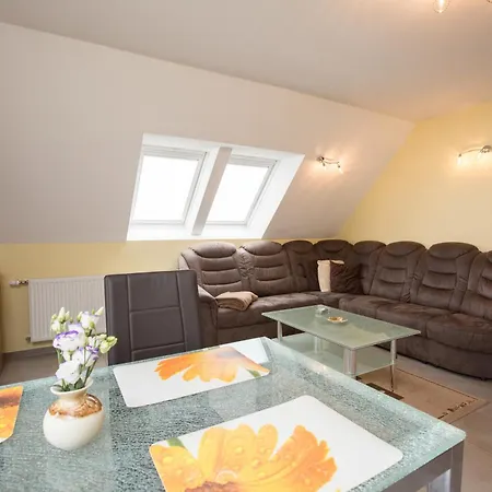 Dachs Im Mueritz Seepark * Marienfelde