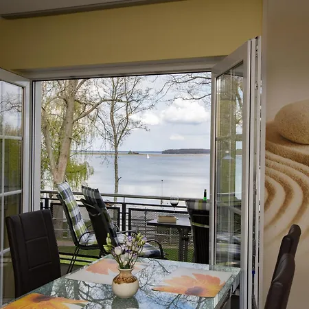 Dachs Im Mueritz Seepark Marienfelde